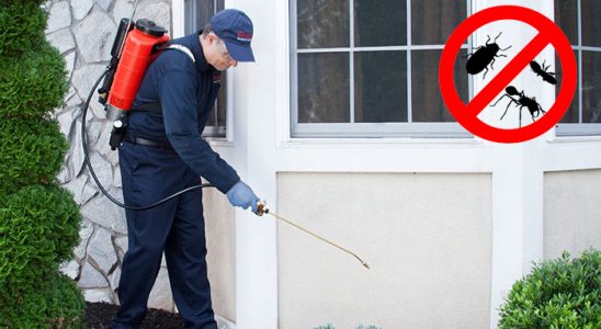 Saraykent Böcek İlaçlama böcek ilaçlama ve haşere kontrolü — ilaclama-tr.com
